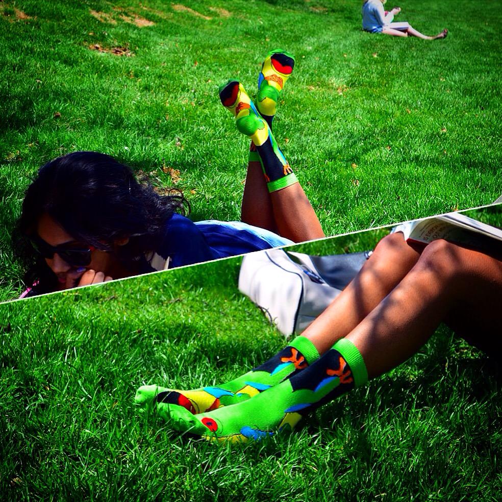 ForBareFeet's tweet photo. Our Realistic Tree Frog #socks! Just in time for spring! #fbfsocks #noveltysocks #novelty #treefrog #frog #frogsocks http://t.co/ne9mG0HwNs