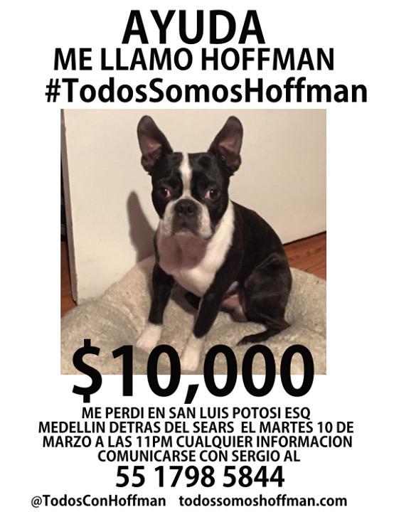 Alexx_Cardenas's tweet photo. Seguimos esperando que Hoffman aparezca. #TodosSomosHoffman 

Por favor, RT… http://t.co/wjdn2EJH9m