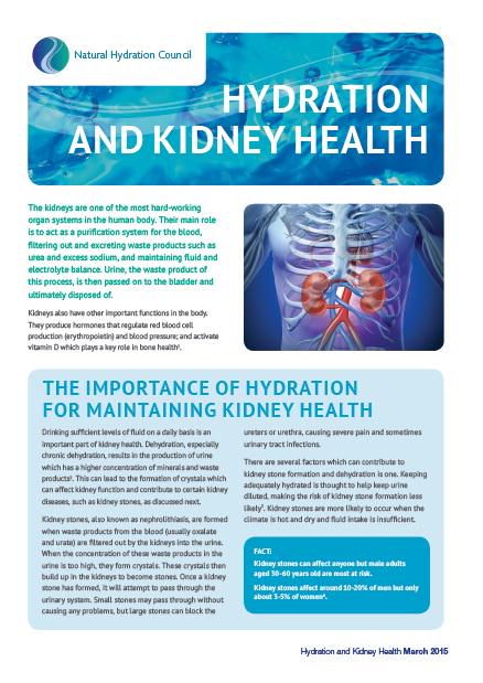 hydration sheet fact kidneys