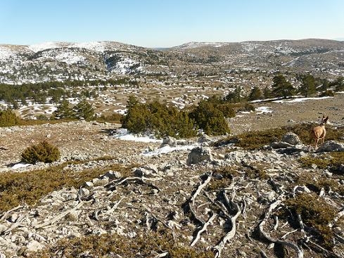 PoblesValAbando's tweet photo. Cim de l'Alt de les Barraques, pic valencià de major altura, al Racó d'Ademús, Parc Natural de #PuebladeSanMiguel. http://t.co/KTfL899jon