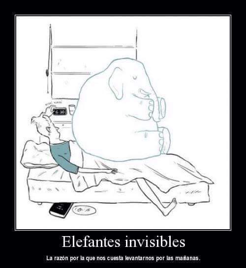 andsmarin's tweet photo. De estos se nos subieron en toda la semana amor! Hahaha #Dormidos #CambioHorario #TeAmoPedazo http://t.co/8uV5ykE2pT