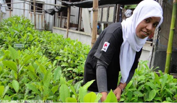 Masyarakat&amp;relawan berbasis masyarakat (SIBAT) didampingi oleh relawan PMI mengelola lngsg rmh bibit mangrove #WCDRR