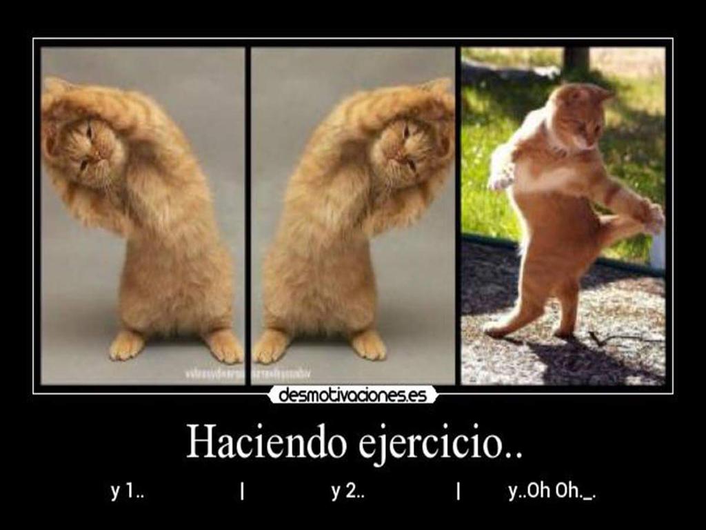 centrowellnes's tweet photo. Buenos días chic@s, feliz juernes💪😽💪😽 http://t.co/XHaYI7daA4