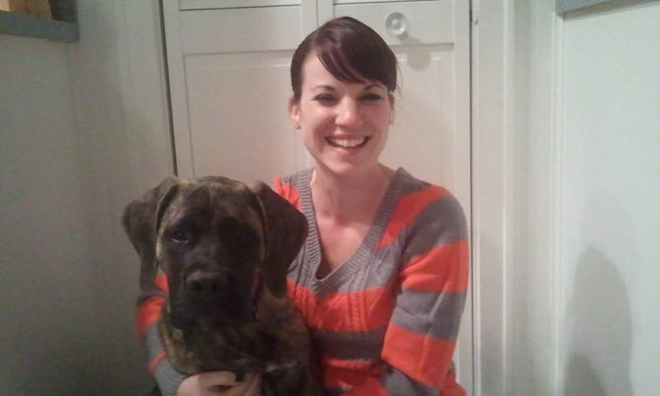 LindsayDetwiler's tweet photo. #ThrowbackThursday #mastiffprobs #dogsoftwitter #dogsarefamily http://t.co/nboHc2b6wJ