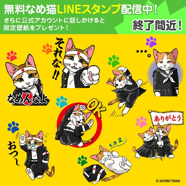 Y Mobile ワイモバイル 公式 בטוויטר 終了間近 無料なめ猫 Lineスタンプ配信中 Http T Co Zbetvsrcso 配布期間は3 16 月 まで ダウンロードしているかたはお気に入りのスタンプを教えてください W スタンプ Line 猫 Http T Co 1bty6aj3ny