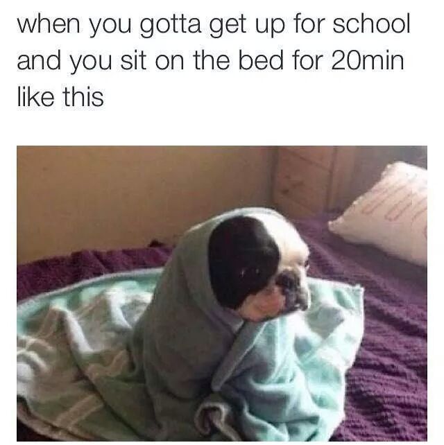 every fuckin morning. bored.