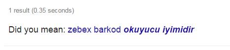 Hadi benim sorum aptalca anladık da Google kuzum sen Türkçe derslerinde uyuyor muydun? Bu nasıl did you mean yahu?