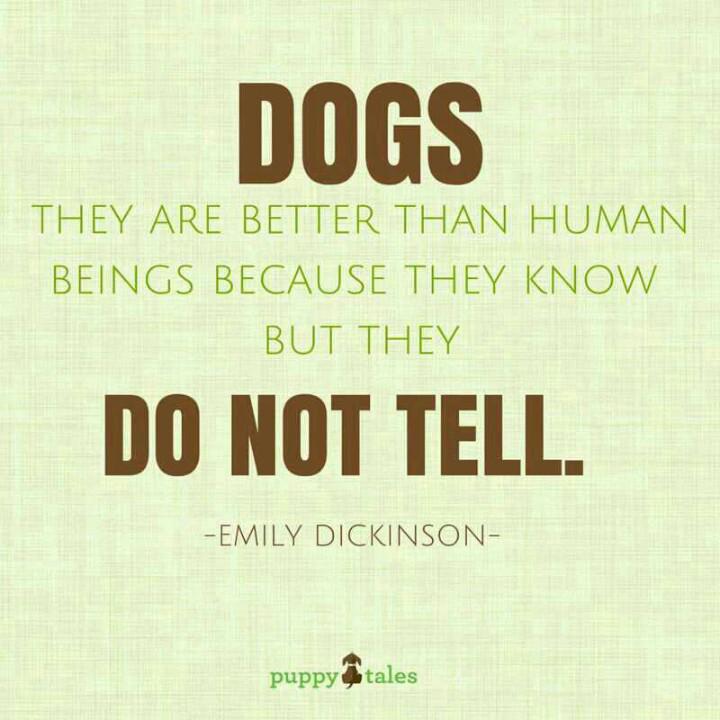 Yep RT @MurphyJr_00: <a href="/staffyangel/">Angel Good</a> <a href="/SummerTheStaff/">SummerTheStaffie</a> <a href="/tylerstaffie/">Tyler the Staffie</a> <a href="/StaffiesRus/">Staffies R Us</a> <a href="/Staffie_Max/">Max the Staffie</a> <a href="/Lynne430/">Lynne staffie lover</a> <a href="/HoneyTheStaffie/">Molly the Collie. RIP Super Staffies</a>