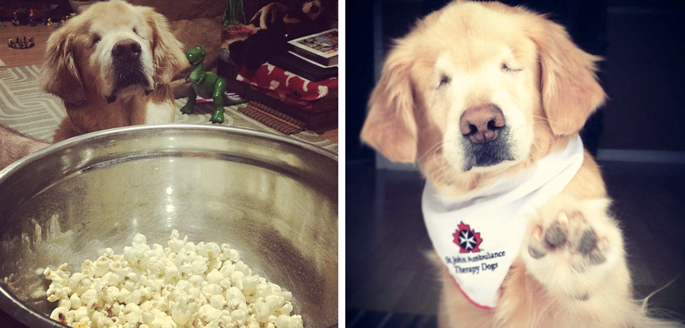 BuzzFeed tweet media