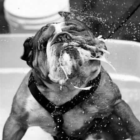 skibajosh's tweet photo. @Statcos I can only imagine the action looking like this last night and stinking like a fillet shack #roomnextdoor http://t.co/F2nE9zcZuy