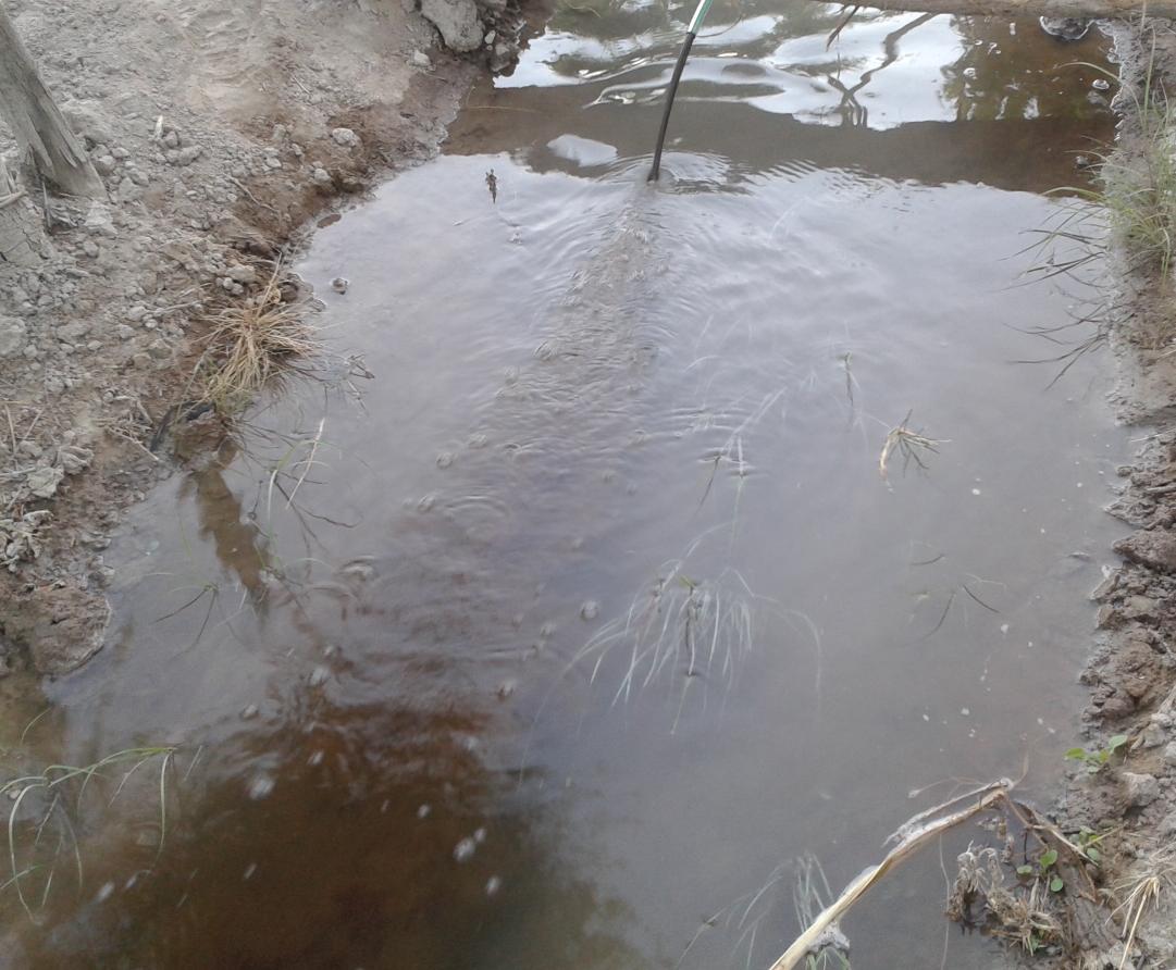 AgroGol_oficial's tweet image. #TeDeCompost de #RSU Otra innovación de  @AgroGol_oficial para #FertilizaciónOrgánica
#BuenasPracticasAgricolas