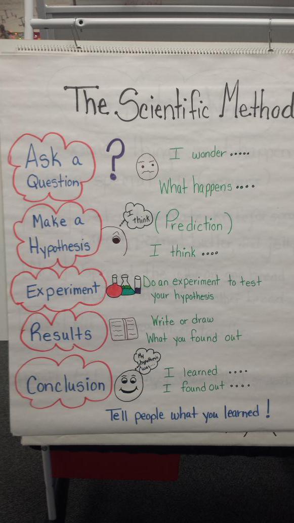 Scientific Process Anchor Chart