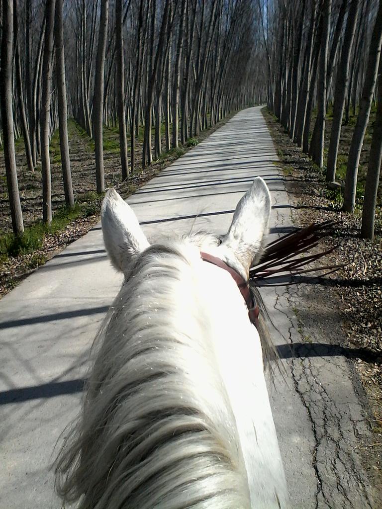aamador489's tweet photo. El día a dia http://t.co/NO5YLTN5hI