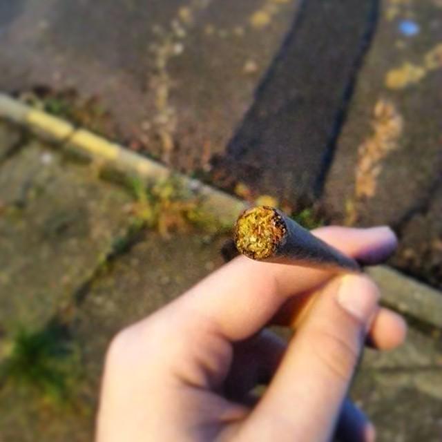 4f20world's tweet image. 