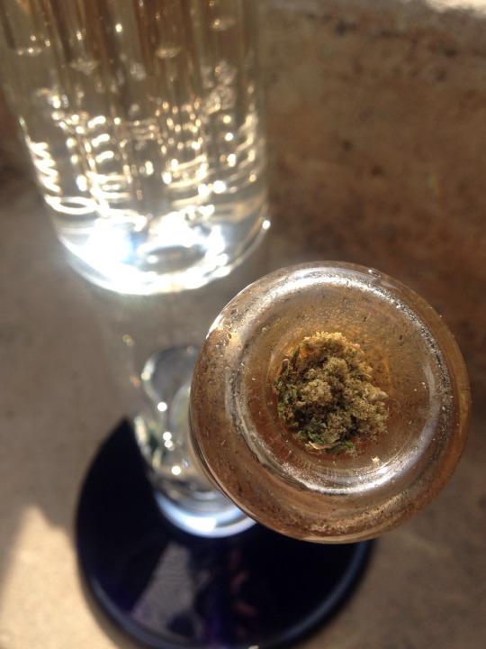 4f20world's tweet image. 