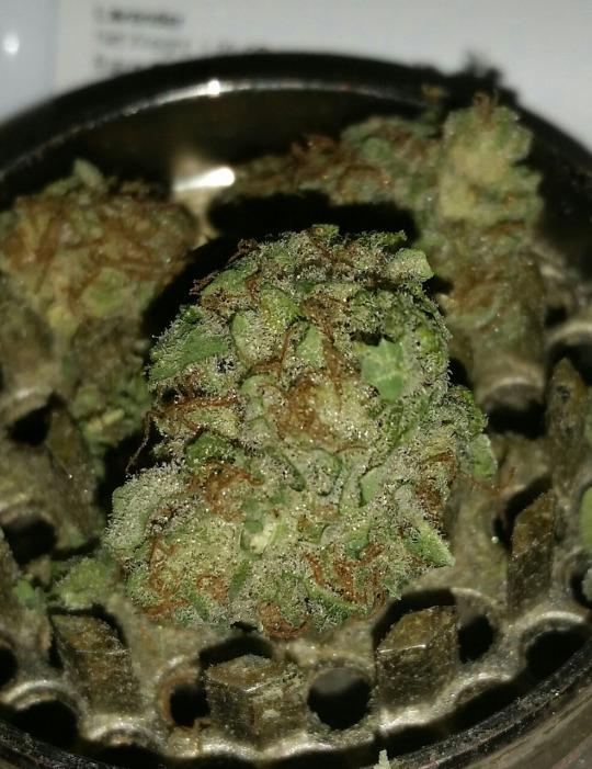 4f20world's tweet image. 