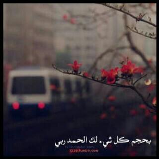 بحجم كل شيء لك الحمدربي