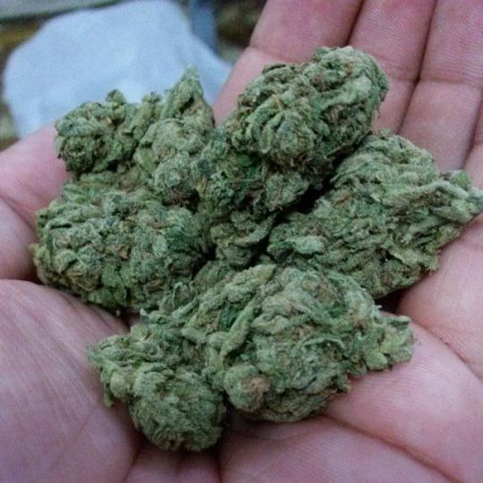 4f20world's tweet image. 