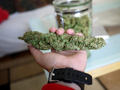 4f20world's tweet image. 