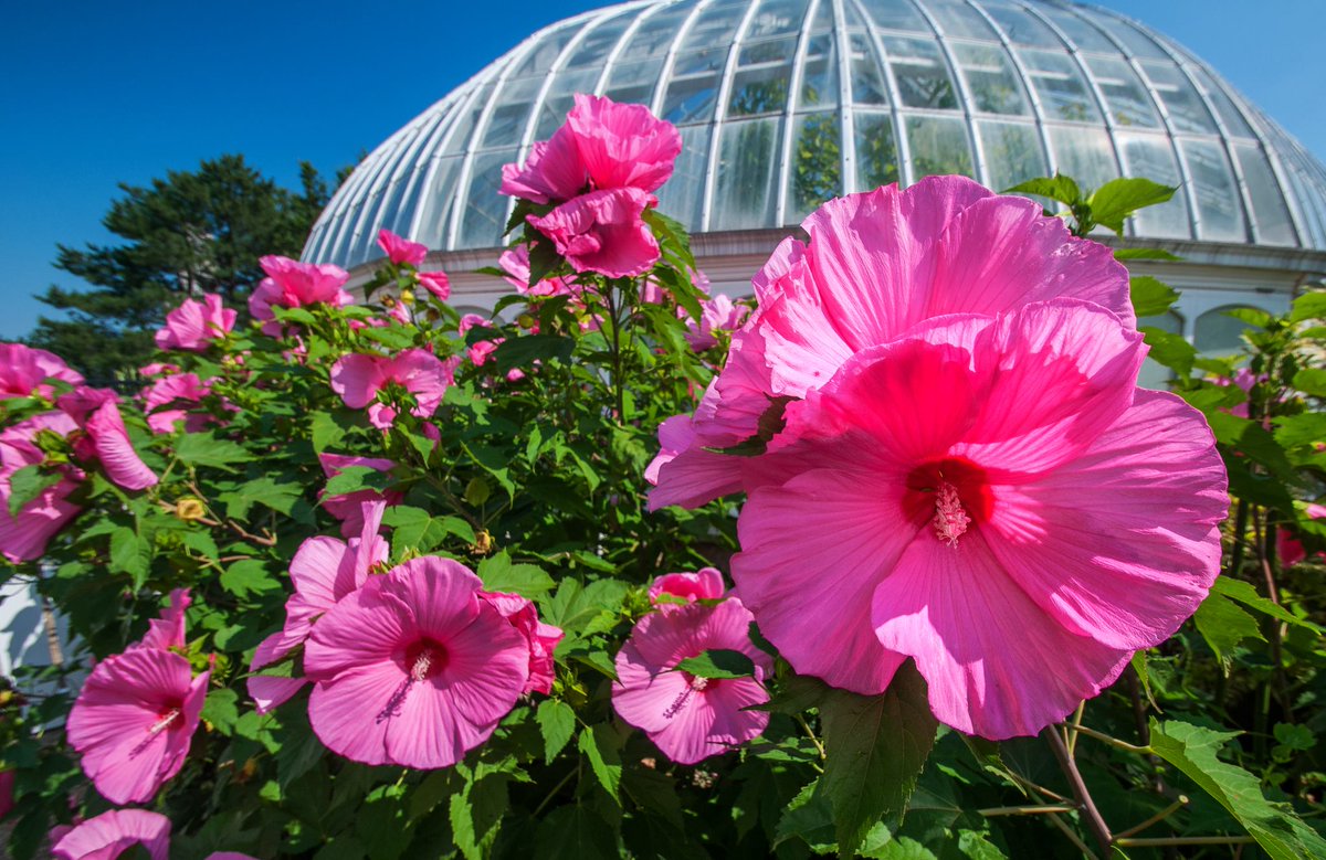 visitPA's tweet image. PA is home to many gardens to get you in the #springPA spirit! Retweet if you're excited for the warmer weather.