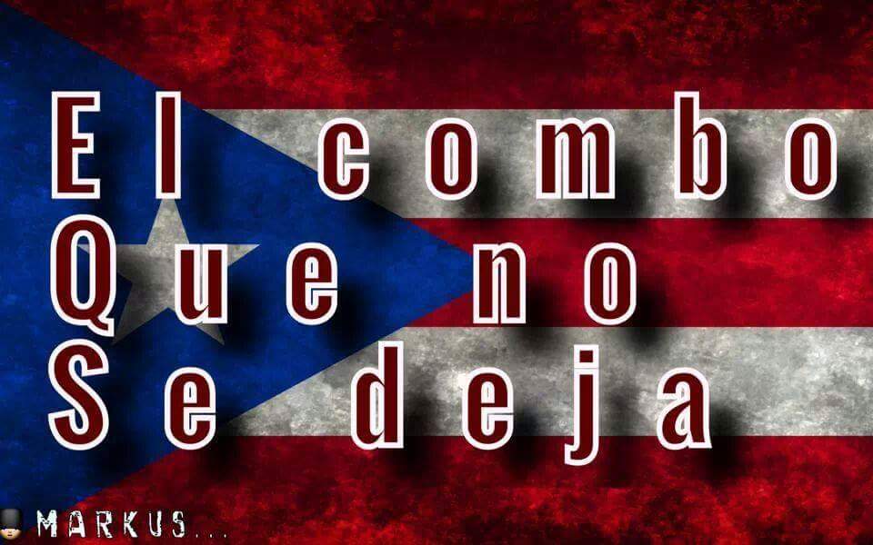 FebusMichael's tweet image. 