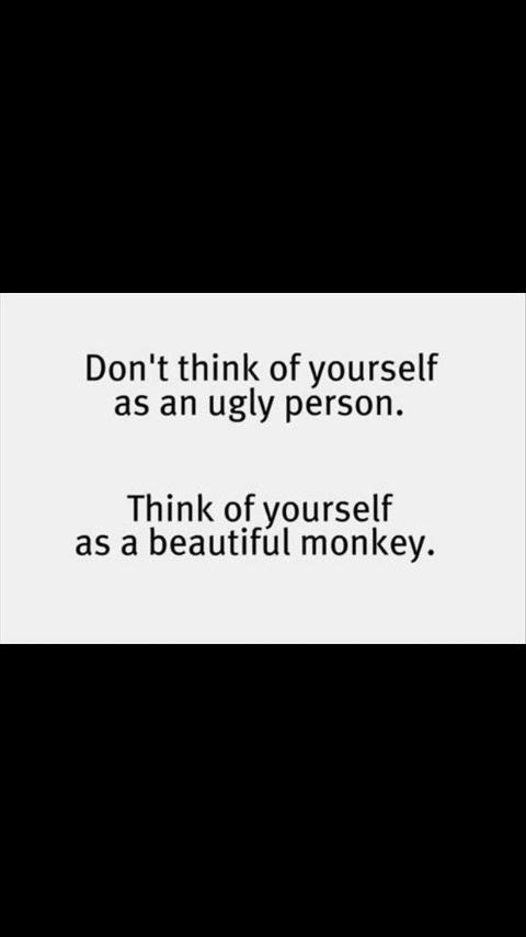 stephanramesar's tweet image. 