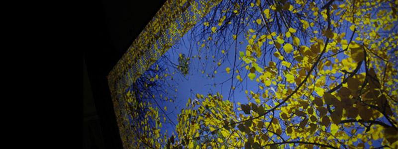 On Sunday March 15 join La MaMa Galleria at 5PM for the closing party of "KYLYMS" by Volodymyr Klyuzko