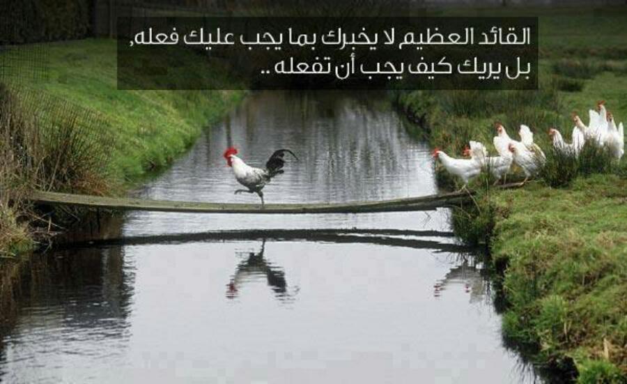 mohaammad26 tweet picture