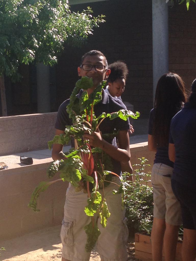 CoreWeCan's tweet photo. How about this beautiful weather @CityOfLasVegas ! #lasvegas #timetoplayoutside #spring #communitygarden @gardenfarms http://t.co/JsSrgSho7A