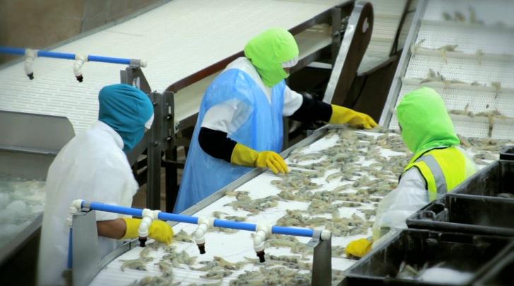 Firstclasshrimp's tweet photo. #Remember only Ecuador produces the #FirstClassShrimp in the world. http://t.co/LLcsybacZm