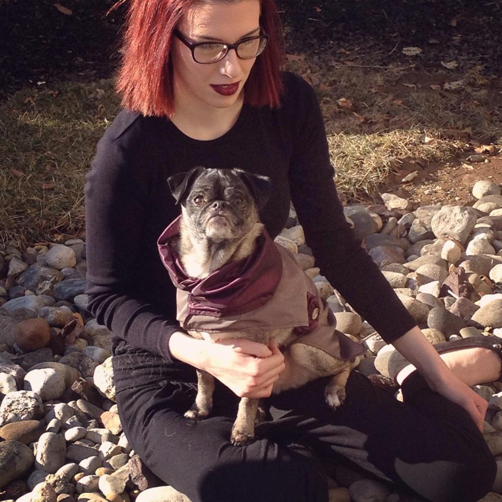 BelBijoux's tweet image. Miss Wiggles channeling a queen? Looking regal! #lehighvalleyfashionweek  #classydogs #petapparel