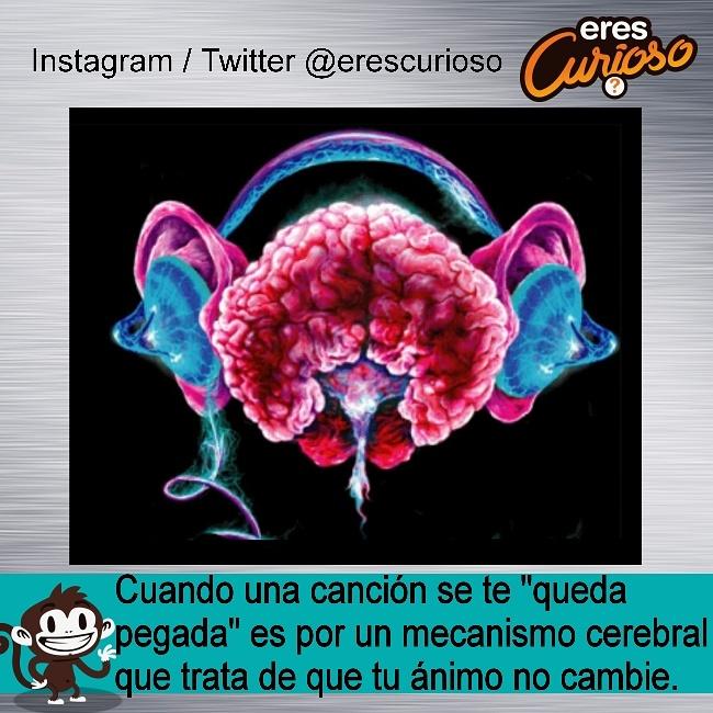 Eres Curioso tweet media