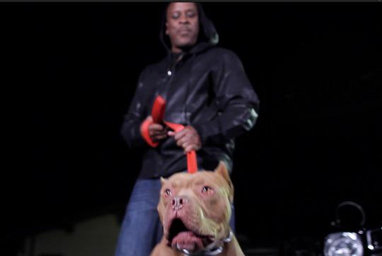 Clip from new Video "Mike Vic"