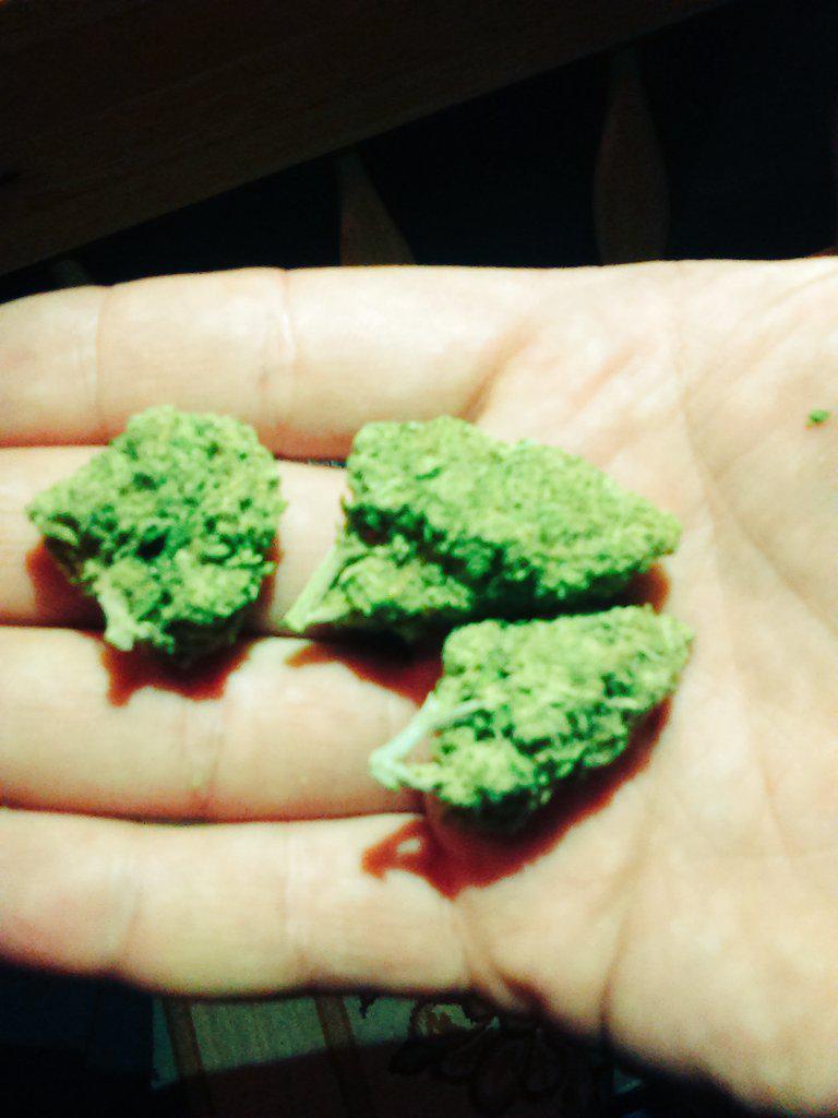 munchkill32's tweet image. 