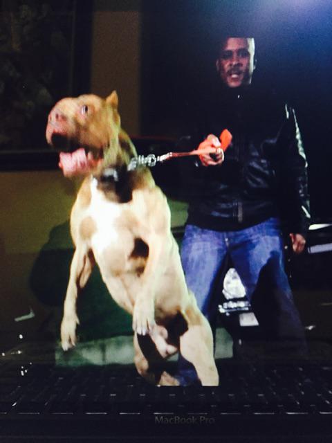 Pic from New Video "Mike Vic"