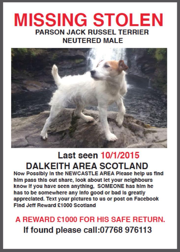 Help Find Jeff tweet media