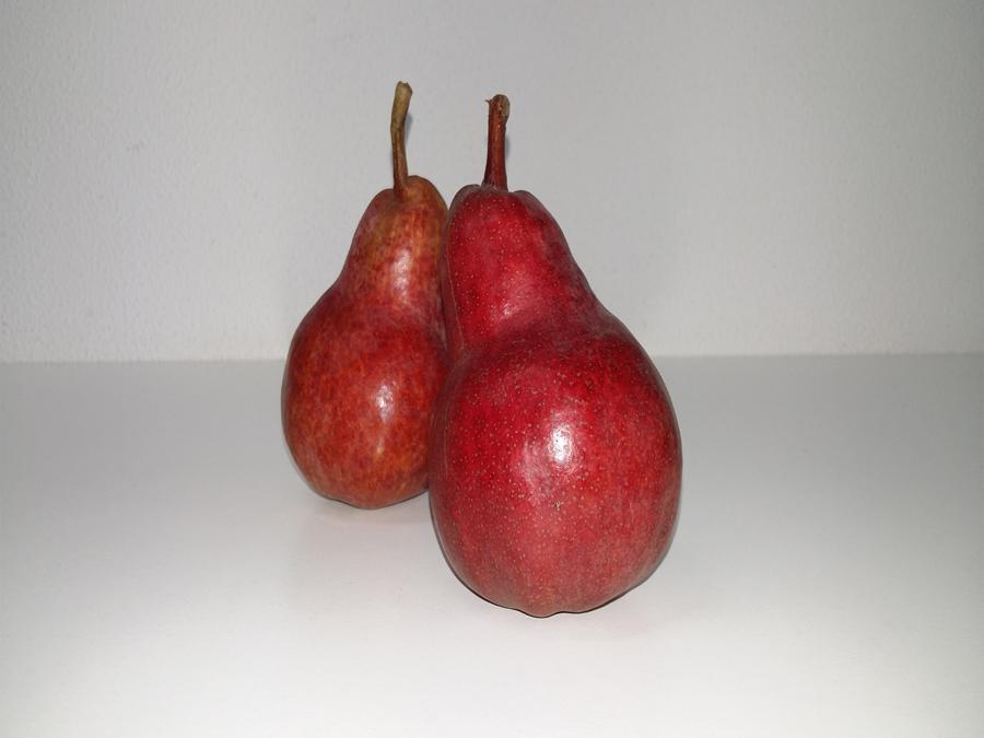 TCFruits's tweet photo. Más novedades!
además de la Ciruela Laetitia, tenemos Pera Red Bartlet a tu disposición!!
http://t.co/dAkc86NkZv http://t.co/VFr4vyaEiM