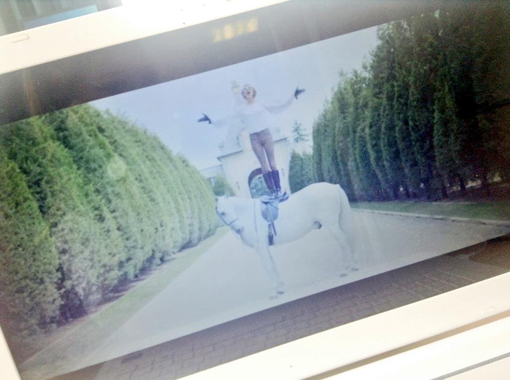 taylorsarmy1's tweet image. Shout out for a shout out 💖