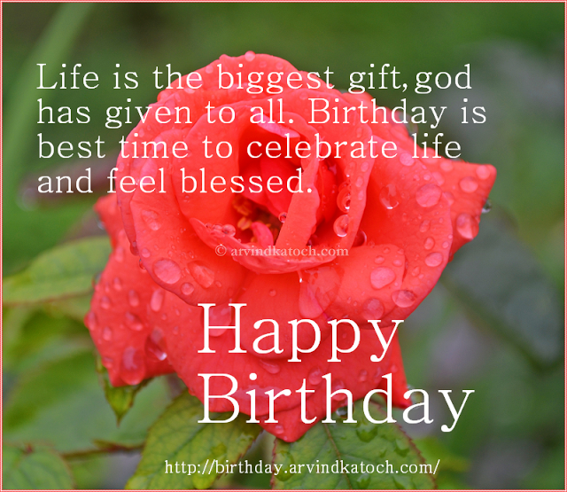 PicBirthdayCard's tweet photo. #Birthdaycard #Happybirthday #Happybirthdaycard #Rosecard For more #Birdthay #Cards visit- http://t.co/QHGcrhSAeL http://t.co/3XvZwnj2AX