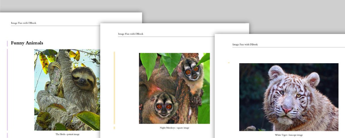 dbook_org's tweet photo. We optimized the output of various image aspect ratios: https://t.co/PFvEjnYg6V -  #document #paperless #pdf #web http://t.co/PNHPpkrAdt