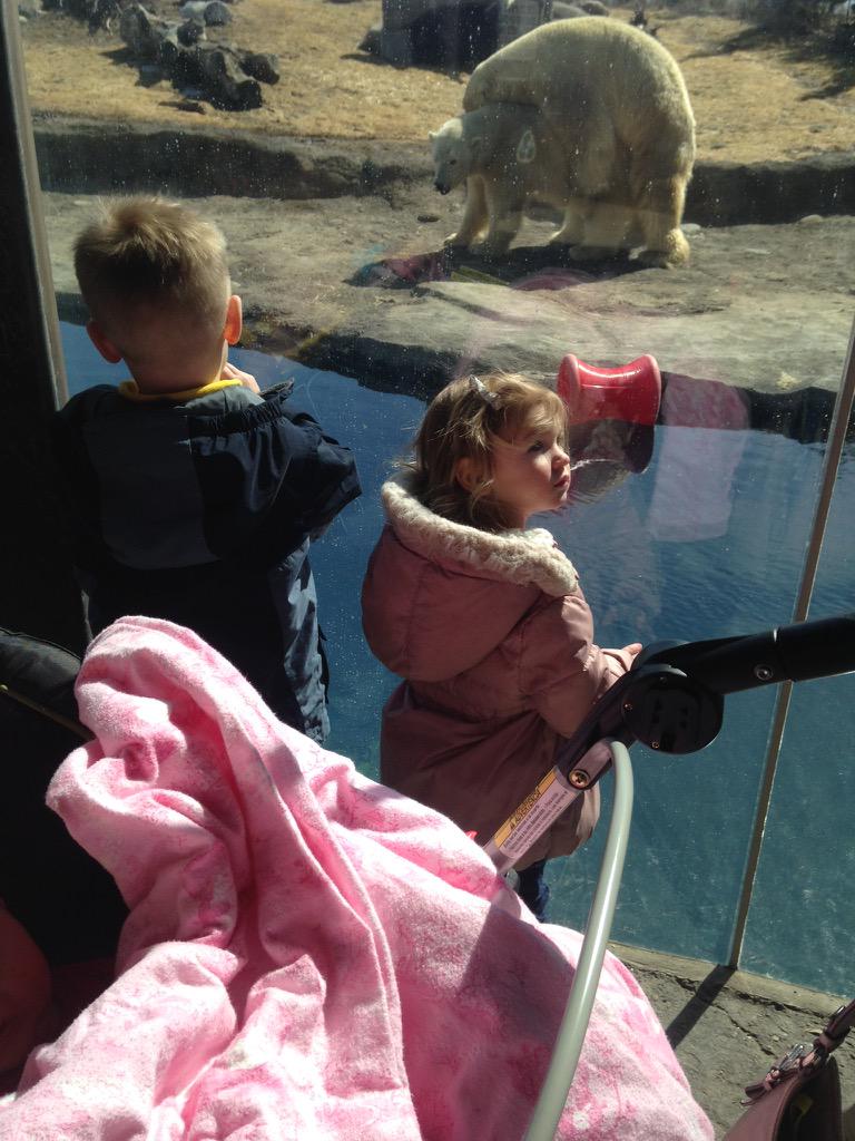 msheph12's tweet photo. Niece and nephew learning about the birds and the bees today 😂😑 http://t.co/tYUaNAY87V