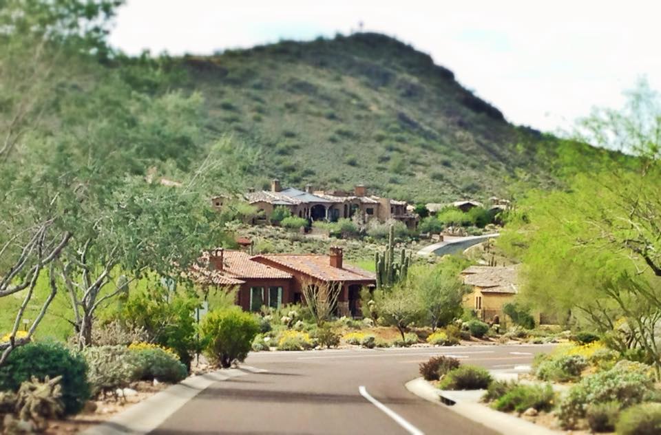 LelandGebhardt's tweet image. Another successful shoot today, ridiculously gorgeous #AZspring day!