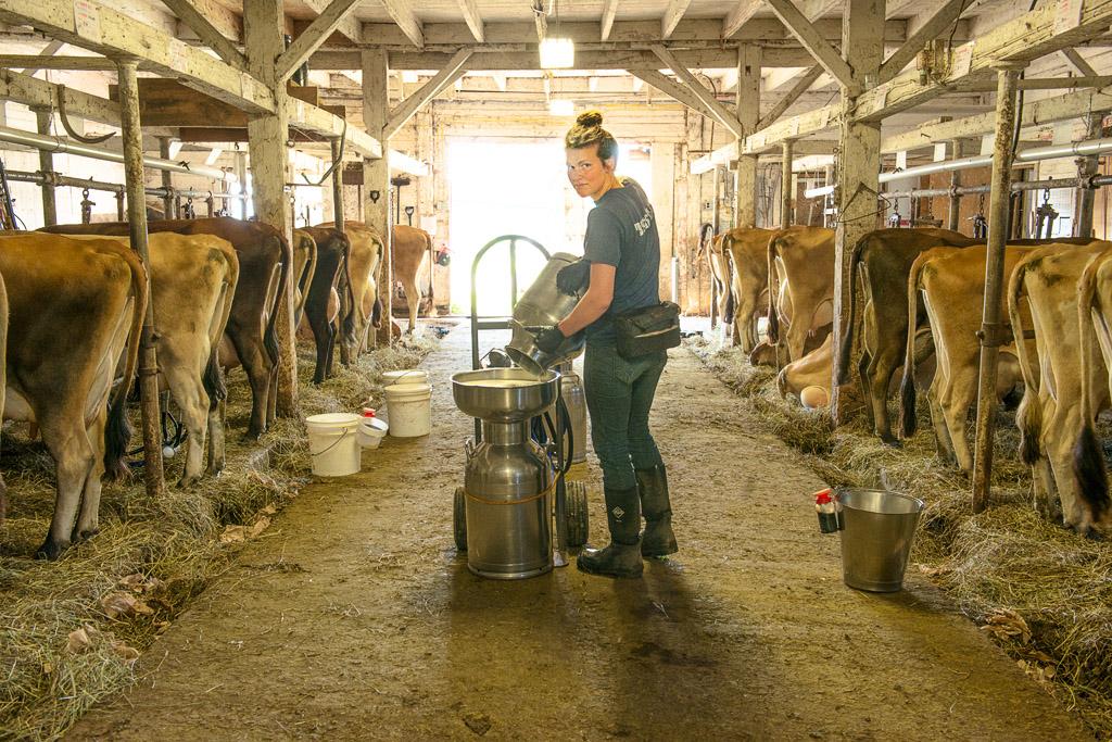 OpenSpaceInst's tweet image. We support $20 M in state budget for #HudsonValley farmland #landprotection! #agvocate #nofarmsnofood