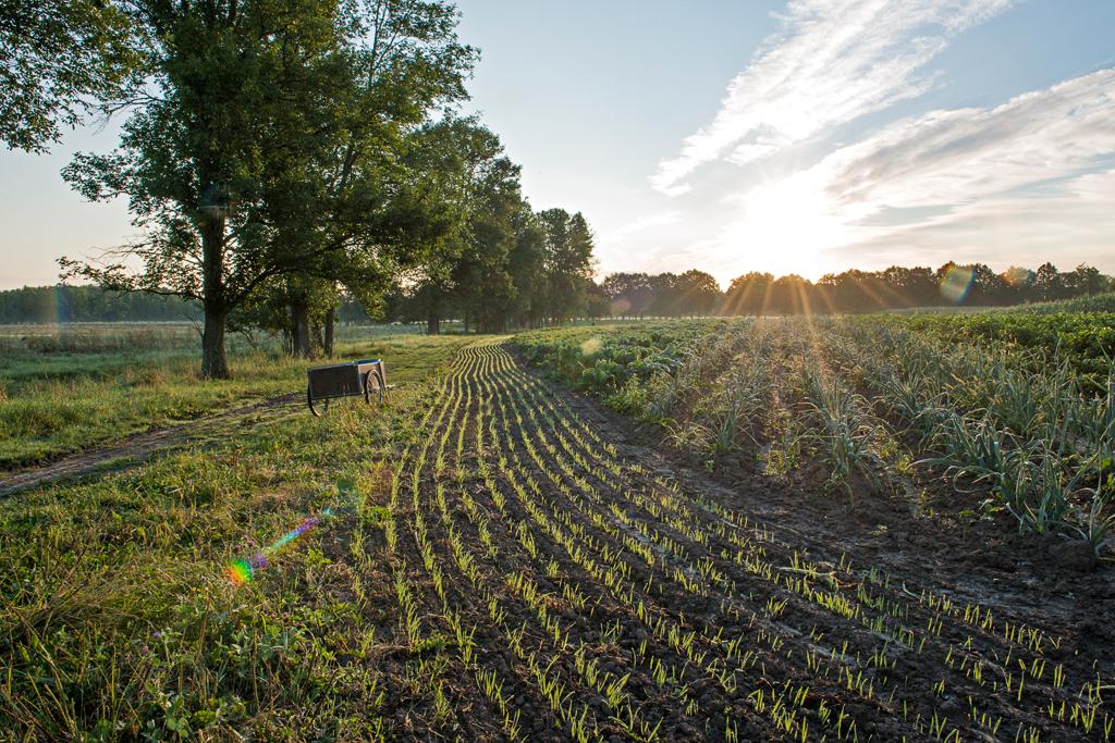 OpenSpaceInst's tweet image. We support $20 M in state budget for #HudsonValley farmland #landprotection! #agvocate #nofarmsnofood