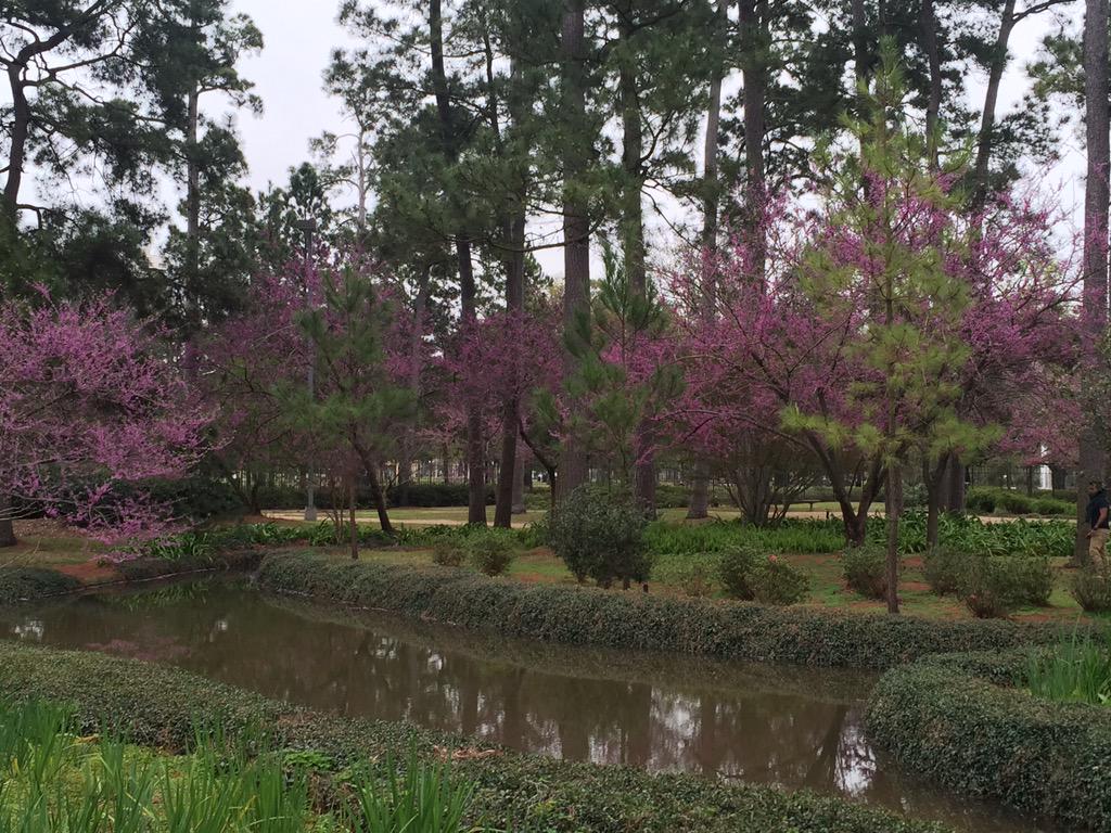 Doughou78's tweet image. #cnnspring