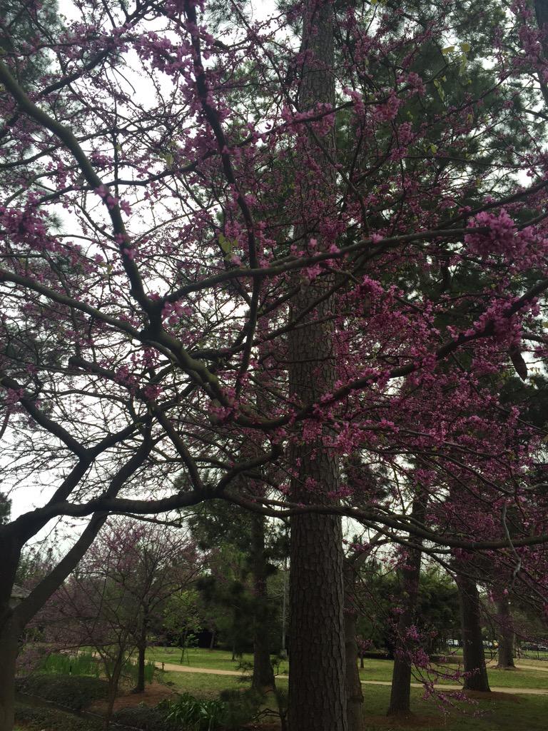 Doughou78's tweet image. #cnnspring