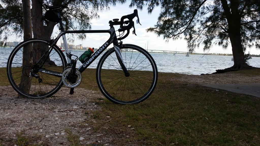 Last day in Sarasota for a bit. Starting that Northern racing season with my <a href="/LupusRacingTeam/">Lupus Racing Team</a>. #guerciottifast