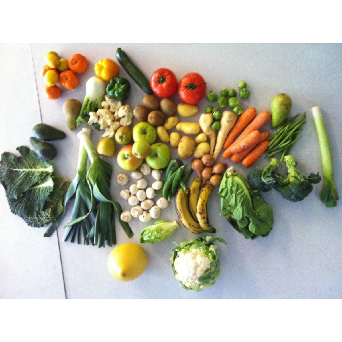 SolentEBP's tweet photo. Thank you for all the lovely fruit and veg @AandTCoopers Wyvern Art Club made some great #VegArt! http://t.co/ZMwmKHKVmD