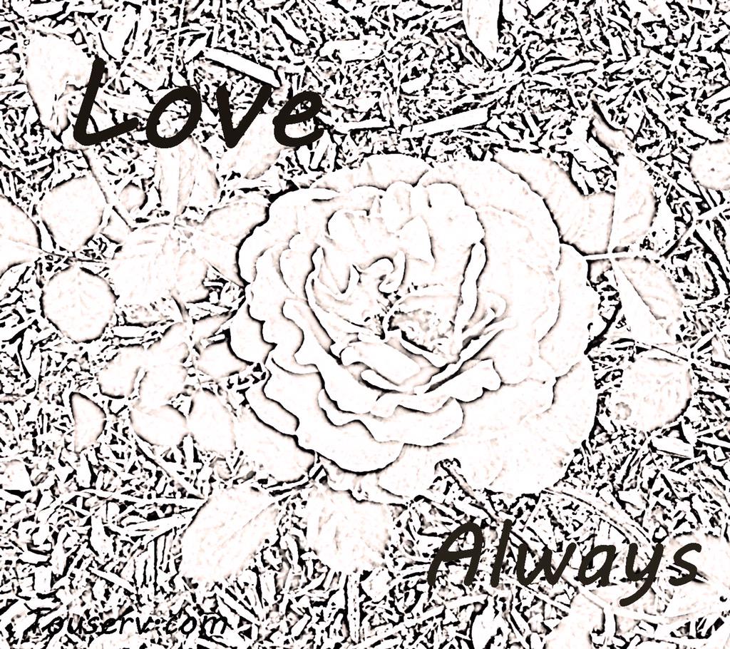 qinzhang's tweet image. Love, Always
touserv.com/love-always/