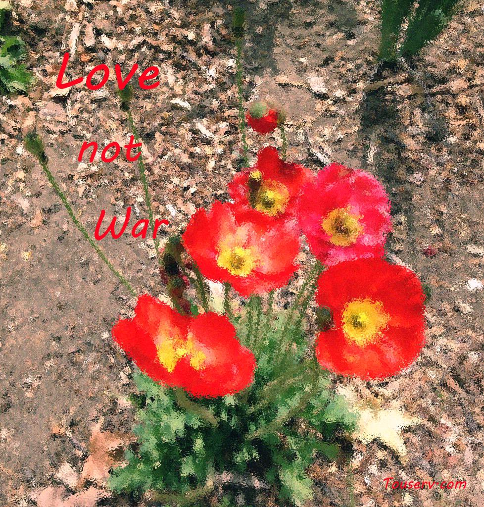 qinzhang's tweet image. Love, Not War

touserv.com/love-not-war/